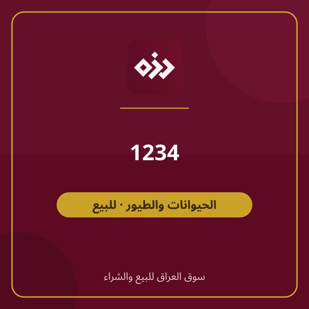 1234